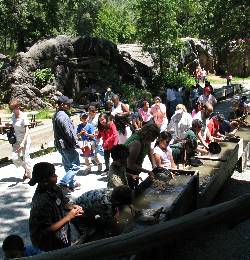 Columbia State Park near Yosemite Rose - a Yosemite National Park lodging