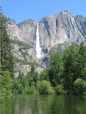 near Yosemite Rose - a Yosemite National Park lodging