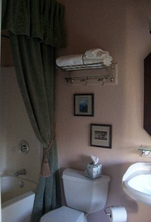 private bathroom with tub shower - bed breakfast close to Yosemite National Park