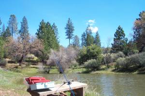 fishing for bass in the pond