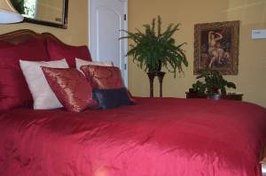 danish antique burl bed (door to closet)