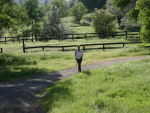 A Yosemite area bed and breakfast lodging