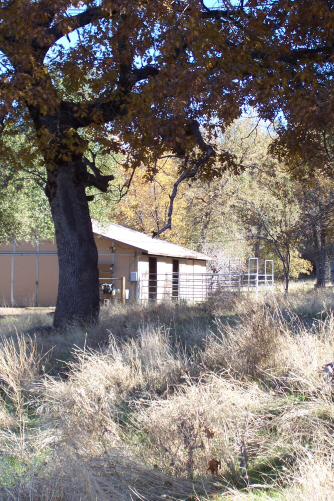 Yosemite area bed breakfasts close to Yosemite National Park