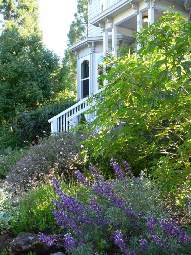 Yosemite area bed breakfasts close to Yosemite National Park