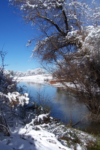 Yosemite area bed breakfasts close to Yosemite National Park