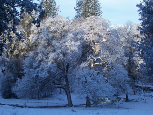 Spring time at this Yosemite National Park area lodging